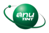 TINT Logo